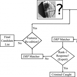 info1228_g009.jpg