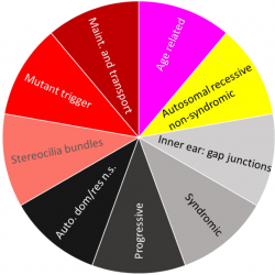 infor517_g013.jpg