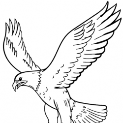 infor550_g001.jpg