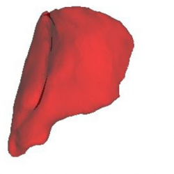 infor571_g003.jpg